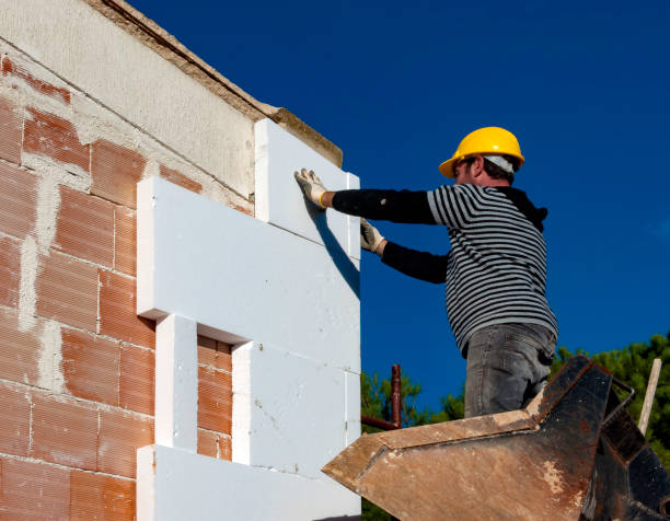 Best Blown-in Insulation  in Senath, MO