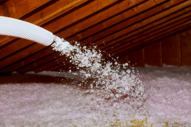 Best Local Insulation Services  in Senath, MO