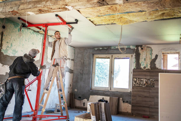 Best Insulation Contractors for Homes  in Senath, MO