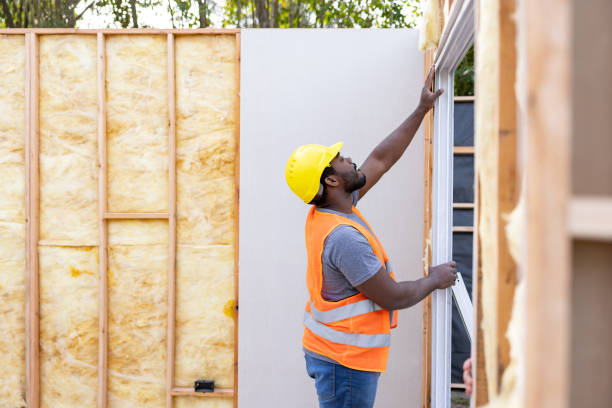 Best Professional Insulation Contractor  in Senath, MO