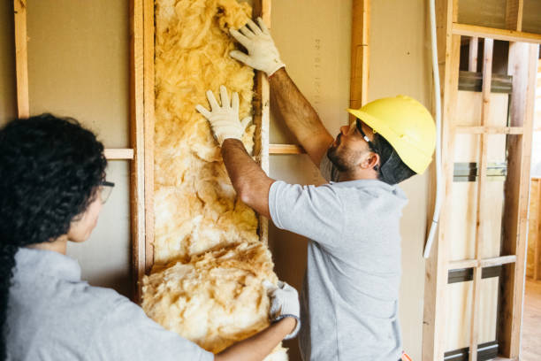 Best Cellulose Insulation  in Senath, MO