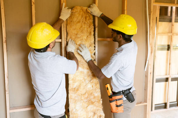 Insulation for Commercial Buildings in Senath, MO