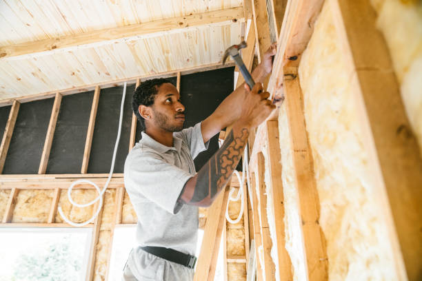 Best Insulation Replacement Services  in Senath, MO