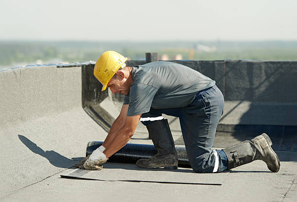 Best Insulation for New Construction  in Senath, MO