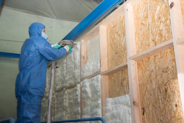  Senath, MO Insulation Contractor Pros